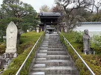 千光寺の写真・動画_image_403423
