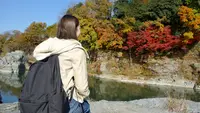 長瀞渓谷（岩畳）の写真・動画_image_403794
