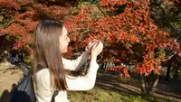月の石もみじ公園の写真・動画_image_403800
