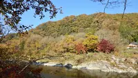 月の石もみじ公園の写真・動画_image_403802