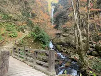 神庭の滝の写真・動画_image_403822