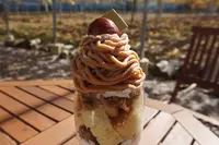 きよとうカフェの写真・動画_image_404064