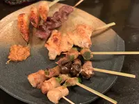 クシュクシュ（９４９４）の写真・動画_image_404161