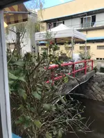 ページワンの写真・動画_image_404806