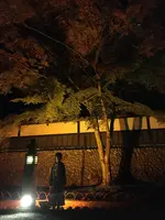 法多山尊永寺の写真・動画_image_404846