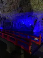 満奇洞の写真・動画_image_405042