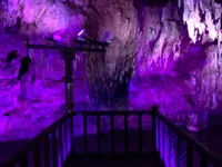 満奇洞の写真・動画_image_405051