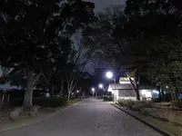篠崎公園の写真・動画_image_405078