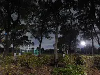 篠崎公園の写真・動画_image_405080
