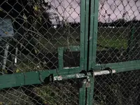 篠崎公園の写真・動画_image_405082