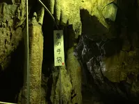 井倉洞の写真・動画_image_405136