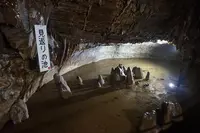 井倉洞の写真・動画_image_405143