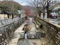 紺屋川美観地区の写真・動画_image_405194