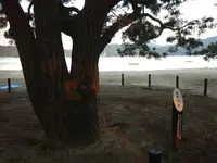 智恵の輪の写真・動画_image_40521