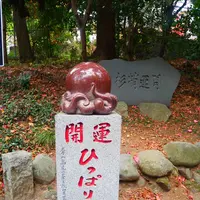 たこ杉の写真・動画_image_405225