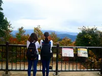 高尾山の写真・動画_image_405240