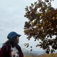 高尾山の写真・動画_image_405241