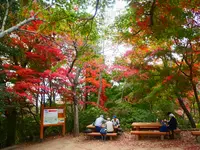 高尾山の写真・動画_image_405243