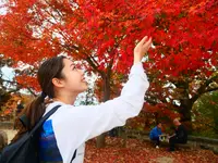 高尾山の写真・動画_image_405245