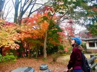 高尾山口駅の写真・動画_image_405279