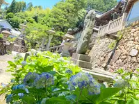 柳谷観音(楊谷寺）の写真・動画_image_405332