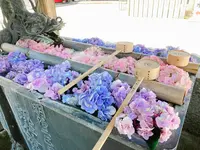 柳谷観音(楊谷寺）の写真・動画_image_405343