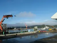 舞鶴西港の写真・動画_image_405361