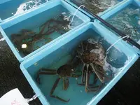 舞鶴西港の写真・動画_image_405362