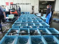 舞鶴西港の写真・動画_image_405365