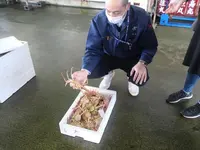 舞鶴西港の写真・動画_image_405366