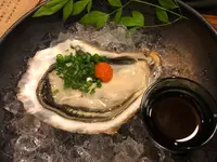 だるまの写真・動画_image_405498