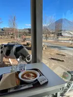 道の駅 朝霧高原の写真・動画_image_406401