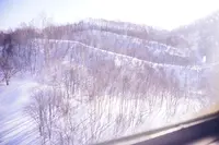 天狗山の写真・動画_image_406505