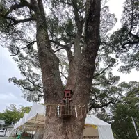 加藤神社の写真・動画_image_406582