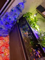 上田屋の写真・動画_image_406992