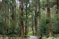 霧島神宮の写真・動画_image_407036