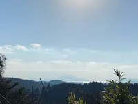 霧島神宮の写真・動画_image_407037