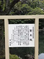 富士山本宮浅間大社の写真・動画_image_407424