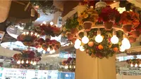 SHIBUYA PARLOR（渋谷パーラー）の写真・動画_image_409095