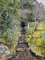 修学院離宮の写真・動画_image_409113