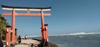 青島神社の写真・動画_image_409147