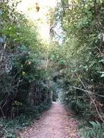 神在神社の写真・動画_image_409726
