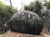 神在神社の写真・動画_image_409727