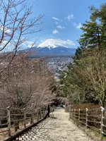 新倉山浅間公園の写真・動画_image_409840