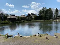 忍野八海の写真・動画_image_409845