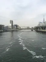 両国橋の写真・動画_image_409969