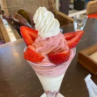 河口湖木ノ花美術館の写真・動画_image_410024
