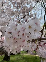 下之橋御門の写真・動画_image_410095