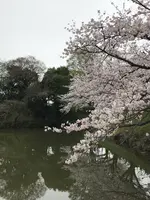 下之橋御門の写真・動画_image_410096