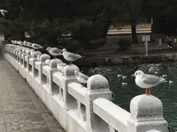 大濠公園の写真・動画_image_410119